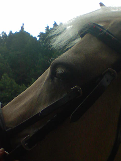 DSC00004.JPG