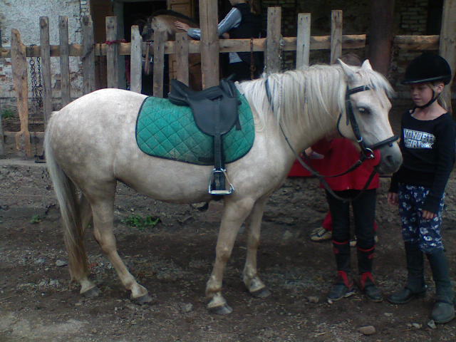 DSC00018.JPG