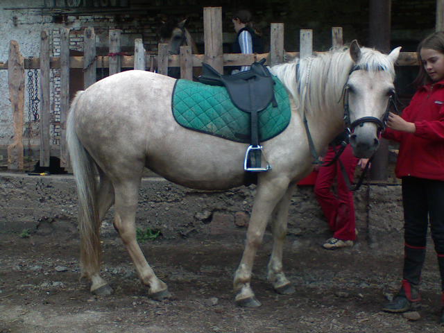 DSC00019.JPG