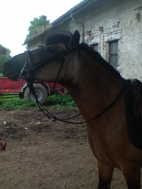 DSC00022.JPG