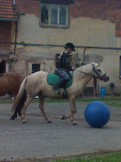 DSC00038.JPG