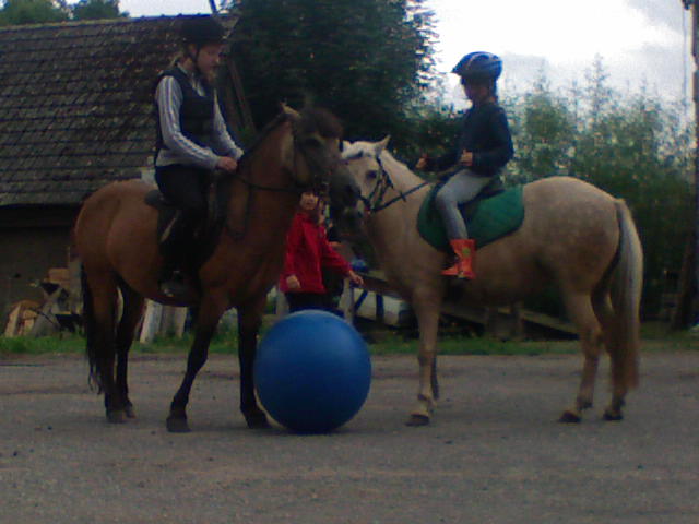 DSC00071.JPG