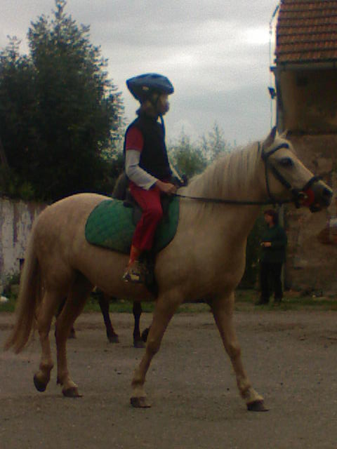 DSC00101.JPG