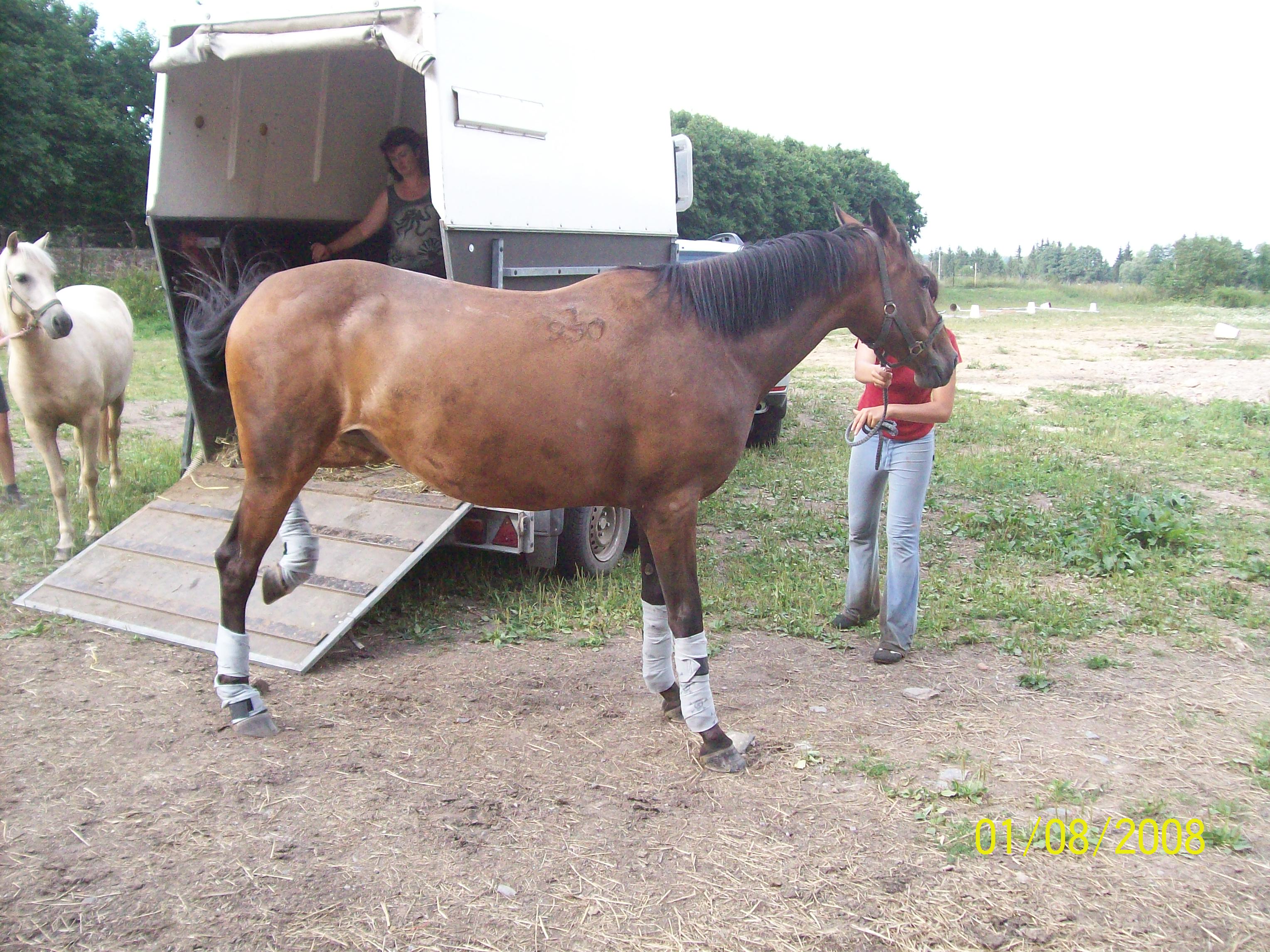 Fotky 044.jpg