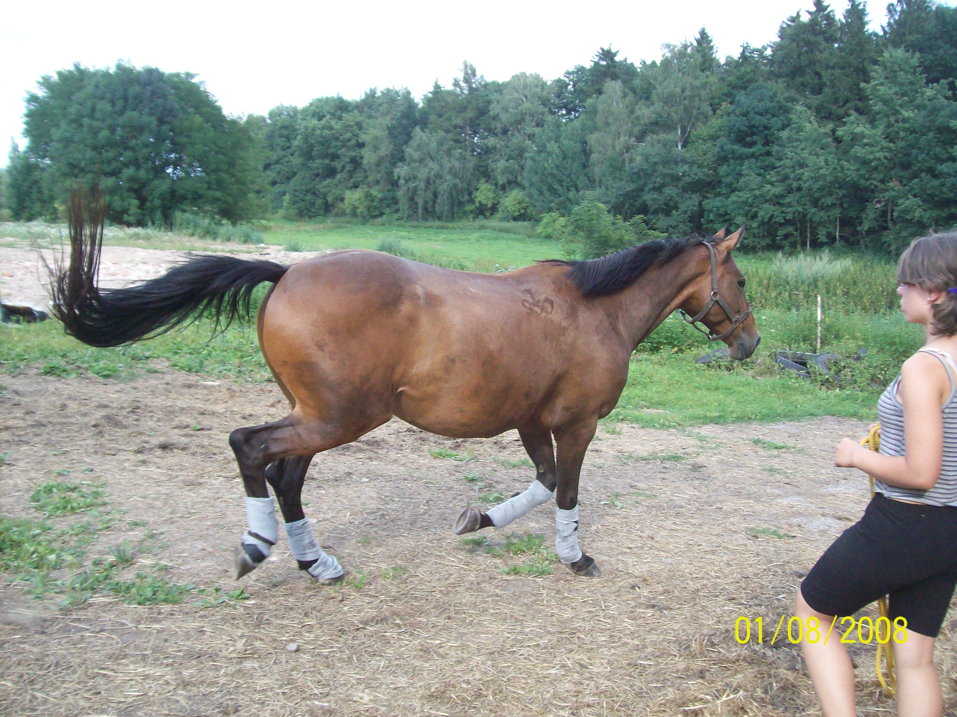 Fotky 045.jpg
