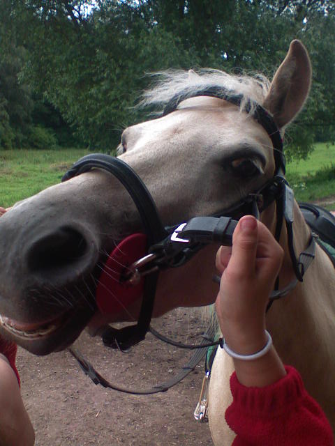 DSC00009.JPG